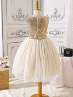 Vestido de fiesta con lentejuela