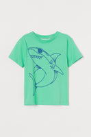 Camisa